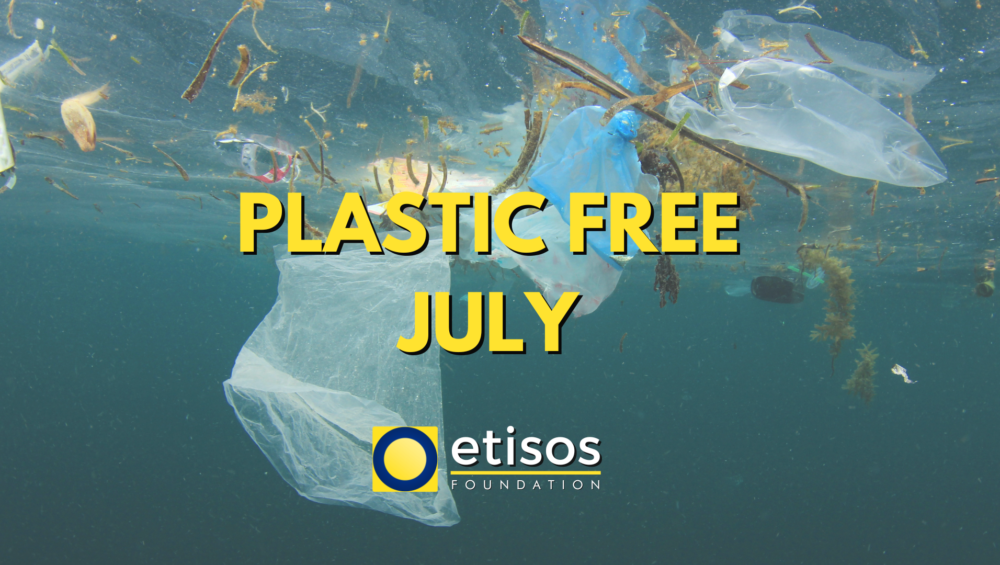 plastic free july inquinamento plastica sostenibilità